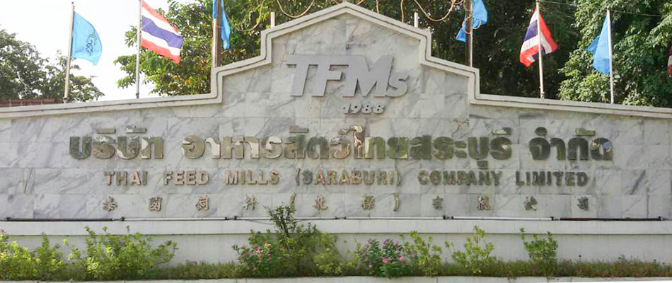 TFMs (Saraburi)
